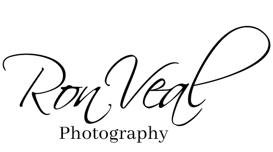 vealrw logo